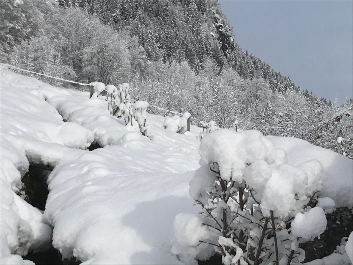 Le Blanc Nordique Villa Le Bouchet-Mont Charvin Bagian luar foto