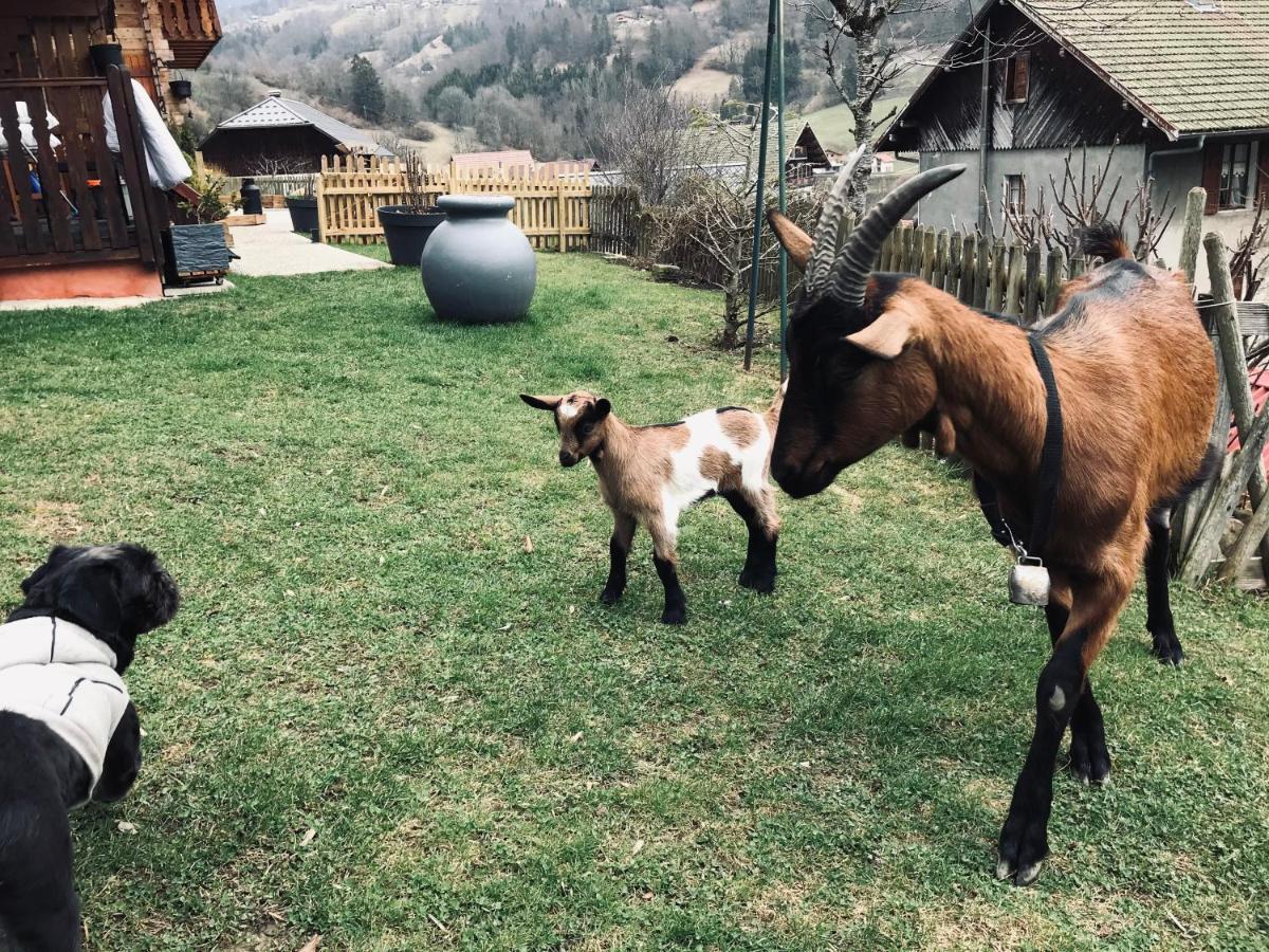 Le Blanc Nordique Villa Le Bouchet-Mont Charvin Bagian luar foto